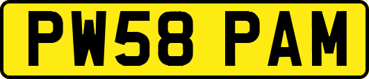 PW58PAM
