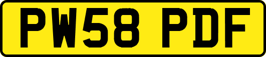 PW58PDF