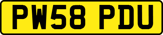 PW58PDU