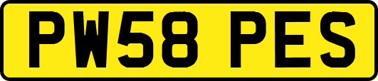 PW58PES