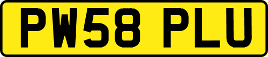 PW58PLU
