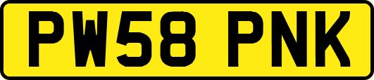 PW58PNK