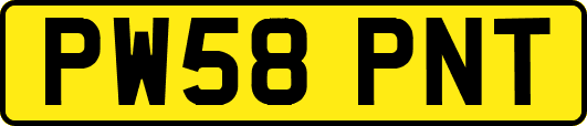 PW58PNT