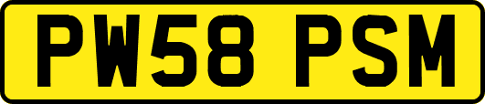 PW58PSM