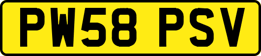 PW58PSV