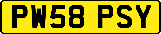 PW58PSY