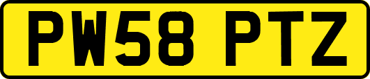 PW58PTZ