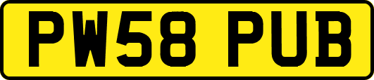 PW58PUB