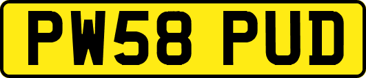 PW58PUD