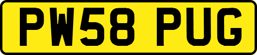 PW58PUG