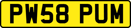 PW58PUM