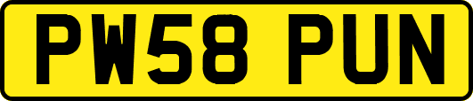 PW58PUN