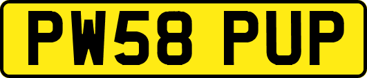 PW58PUP