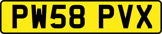 PW58PVX