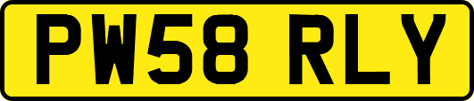 PW58RLY
