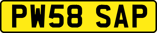 PW58SAP
