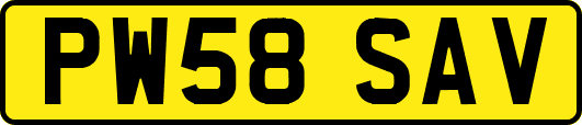 PW58SAV
