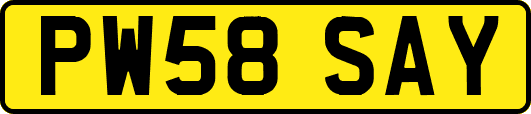 PW58SAY
