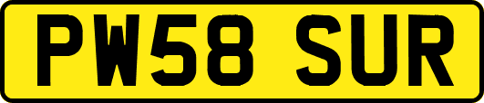 PW58SUR