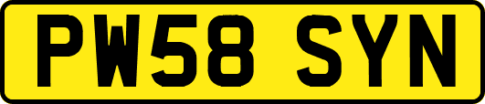 PW58SYN
