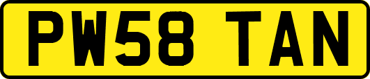 PW58TAN