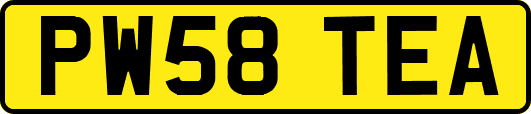 PW58TEA