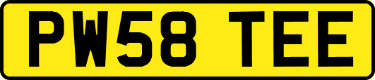 PW58TEE
