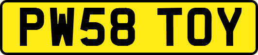 PW58TOY