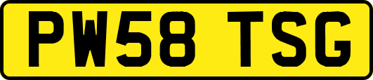 PW58TSG