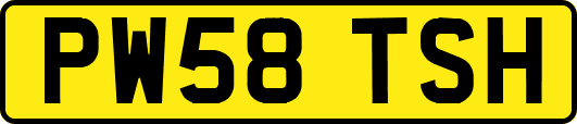 PW58TSH