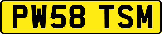 PW58TSM