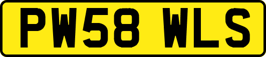 PW58WLS