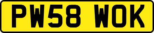 PW58WOK