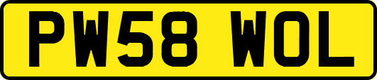 PW58WOL