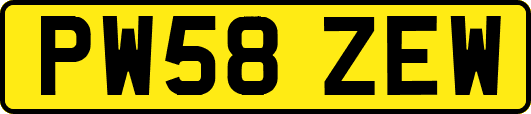 PW58ZEW