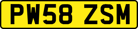 PW58ZSM
