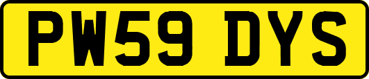 PW59DYS