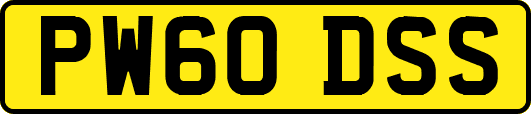 PW60DSS