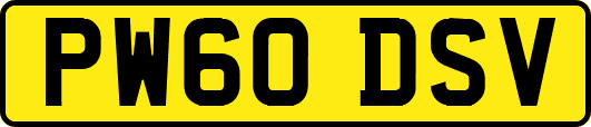 PW60DSV