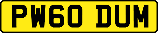 PW60DUM