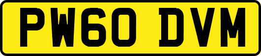 PW60DVM