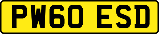 PW60ESD