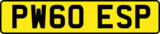 PW60ESP