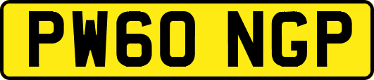 PW60NGP