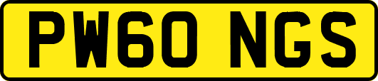 PW60NGS
