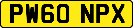 PW60NPX