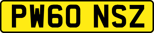 PW60NSZ