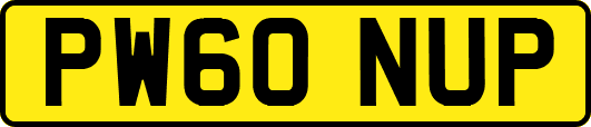 PW60NUP