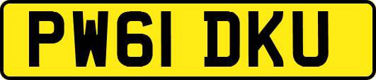 PW61DKU