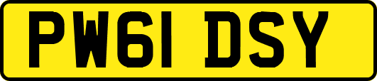 PW61DSY